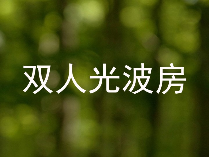双人光波房