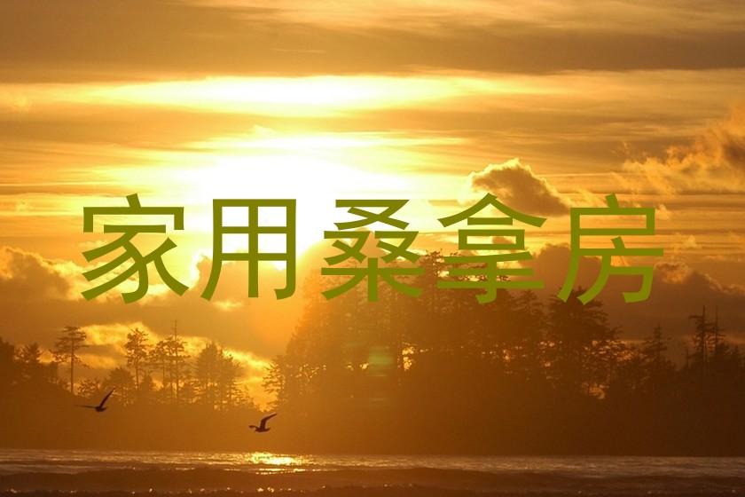 家用桑拿房