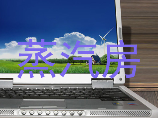 蒸汽房