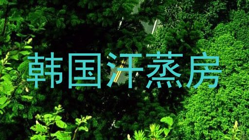 韩国汗蒸房
