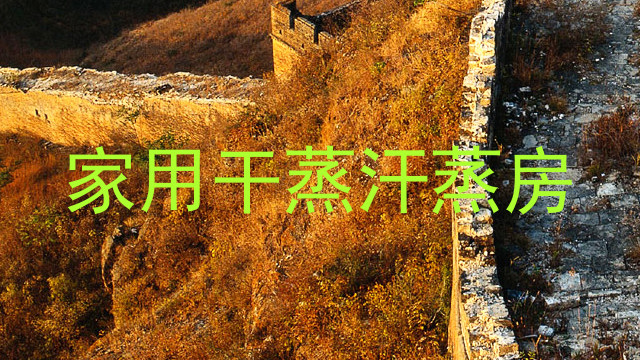 家用干蒸汗蒸房