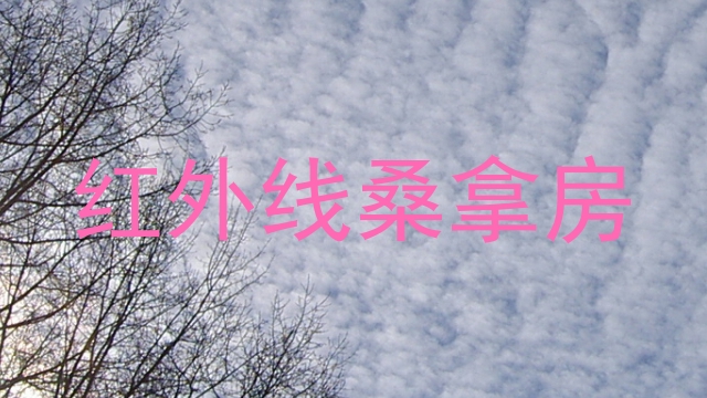 红外线桑拿房
