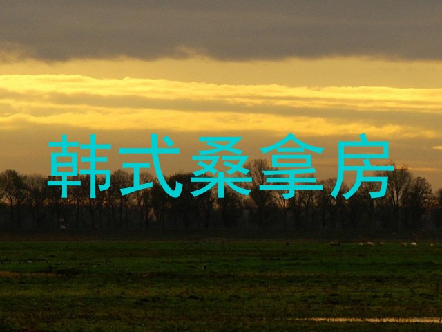 韩式桑拿房