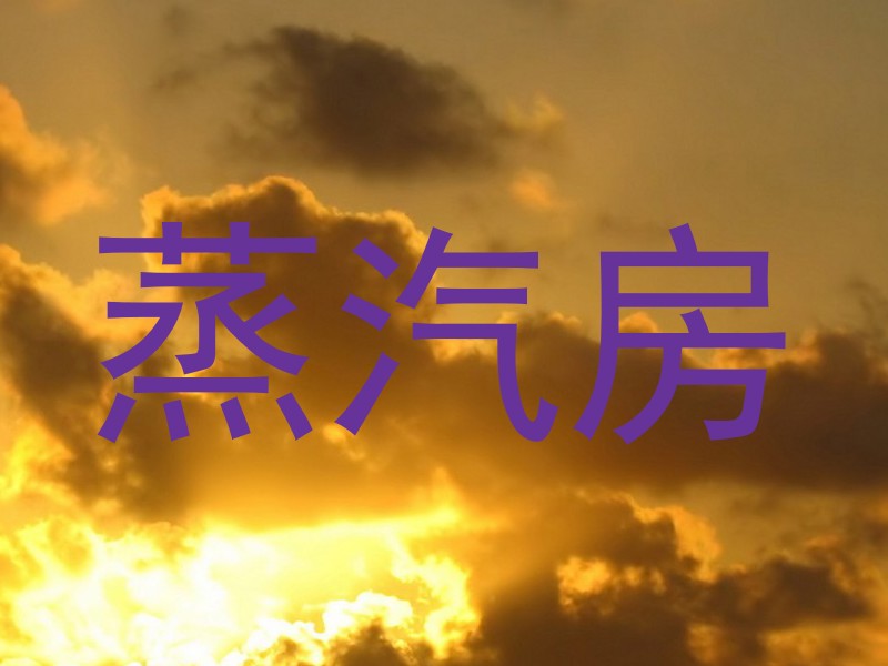 蒸汽房