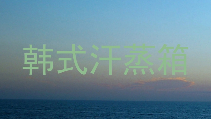 韩式汗蒸箱