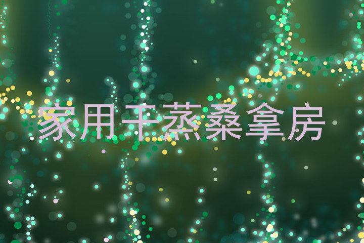 家用干蒸桑拿房