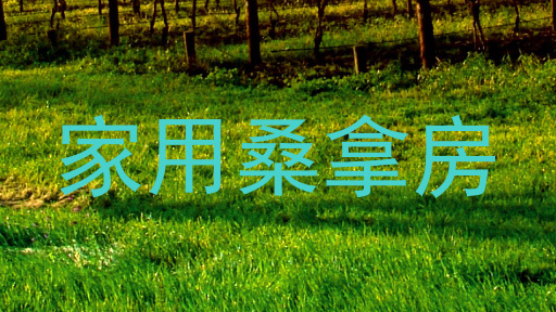 家用桑拿房