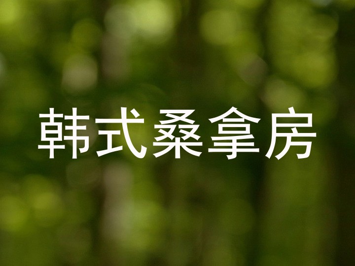 韩式桑拿房