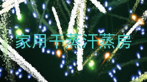 家用干蒸汗蒸房
