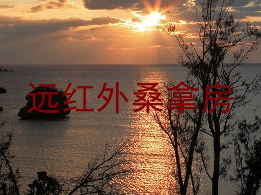 远红外桑拿房