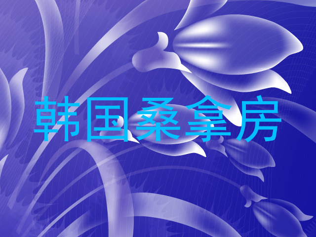 韩国桑拿房