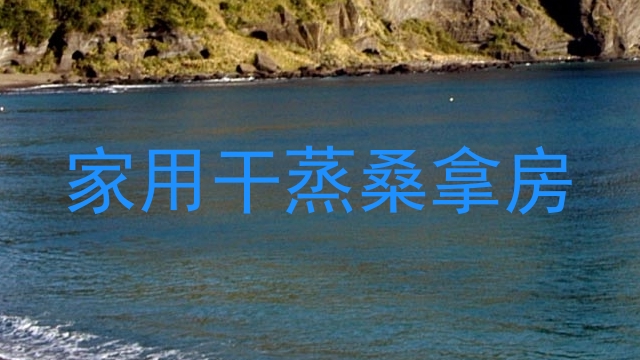 家用干蒸桑拿房