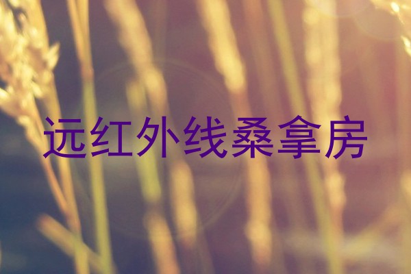 远红外线桑拿房