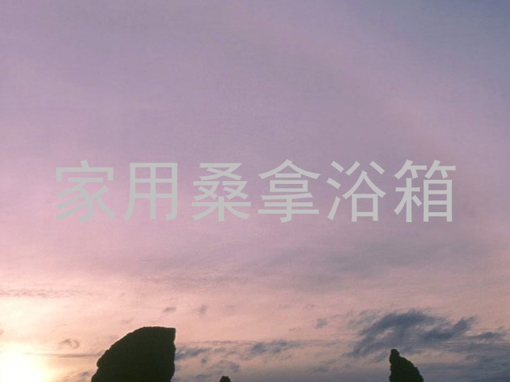 家用桑拿浴箱