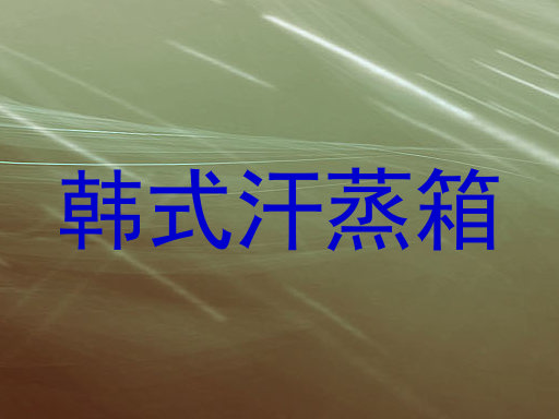 韩式汗蒸箱