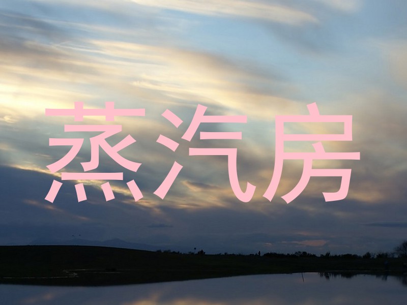 蒸汽房