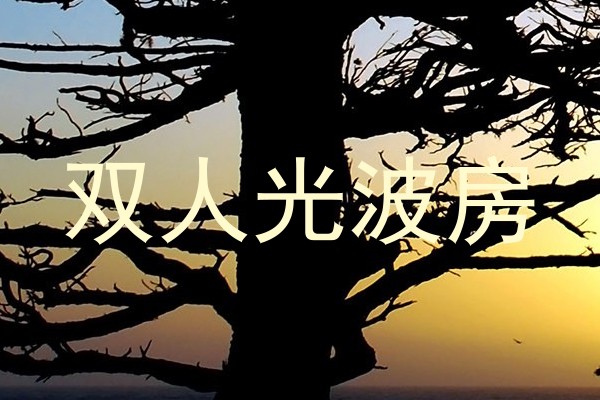 双人光波房