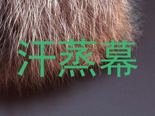 汗蒸幕