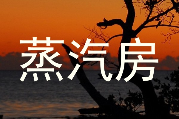 蒸汽房
