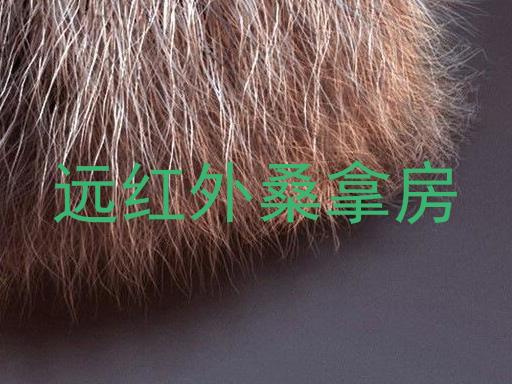 远红外桑拿房