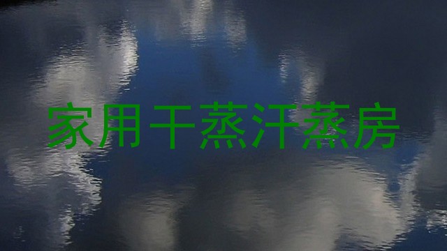 家用干蒸汗蒸房