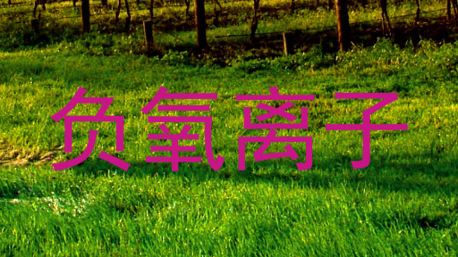 负氧离子