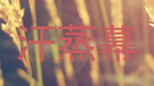 汗蒸幕