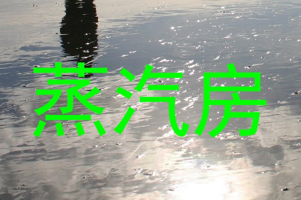 蒸汽房