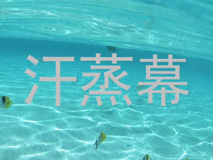 汗蒸幕