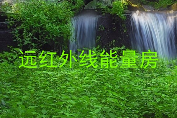 远红外线能量房