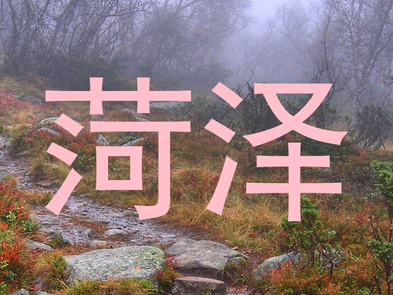 菏泽