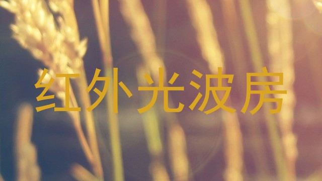 红外光波房