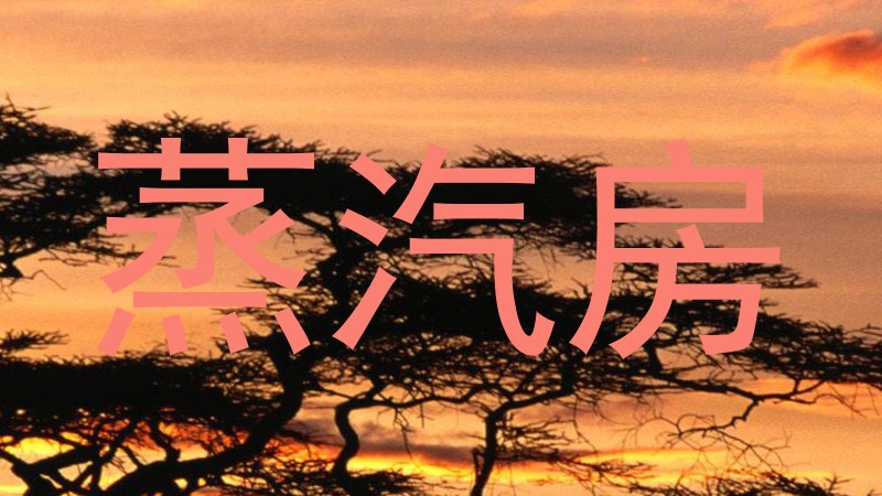 蒸汽房