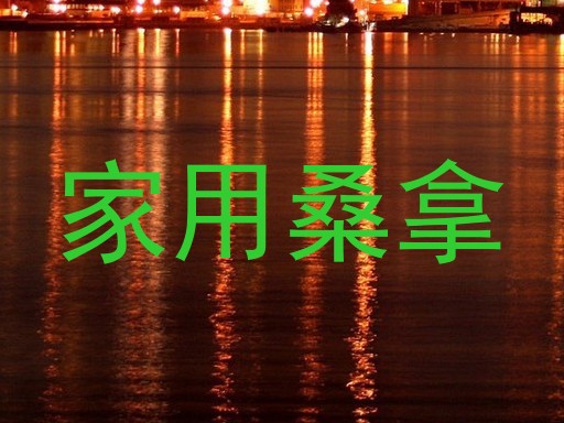 家用桑拿
