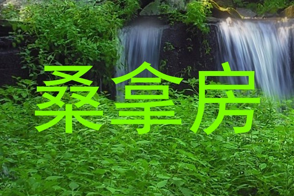 桑拿房