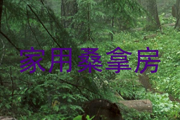 家用桑拿房