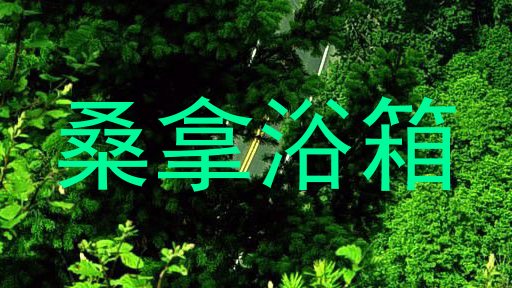 桑拿浴箱