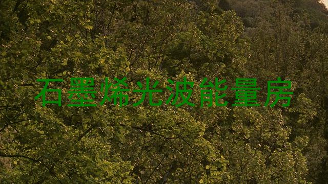 石墨烯光波能量房
