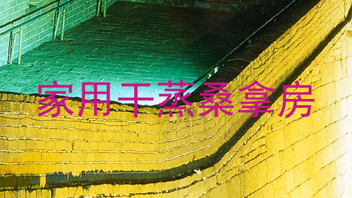 家用干蒸桑拿房
