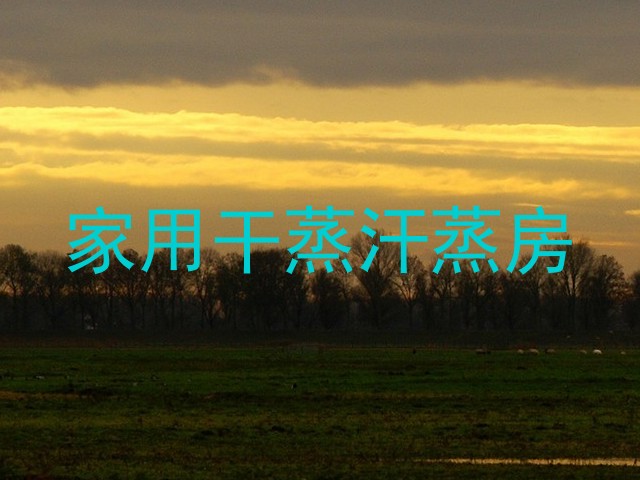 家用干蒸汗蒸房