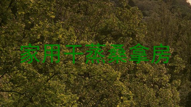 家用干蒸桑拿房