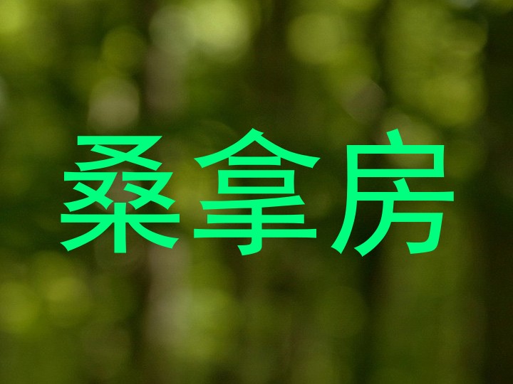 桑拿房