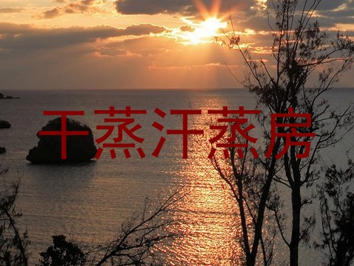 干蒸汗蒸房