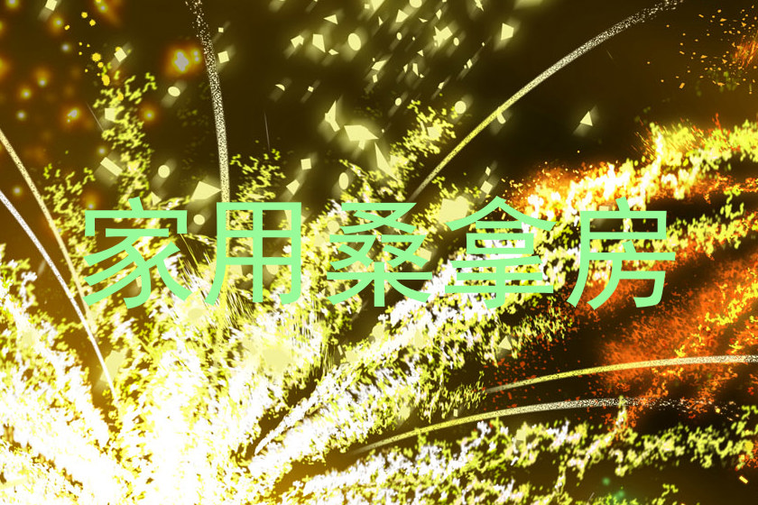 家用桑拿房