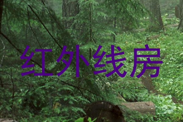 红外线房