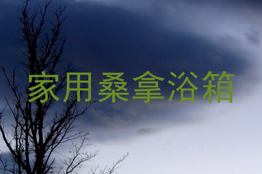 家用桑拿浴箱
