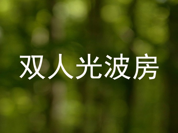 双人光波房