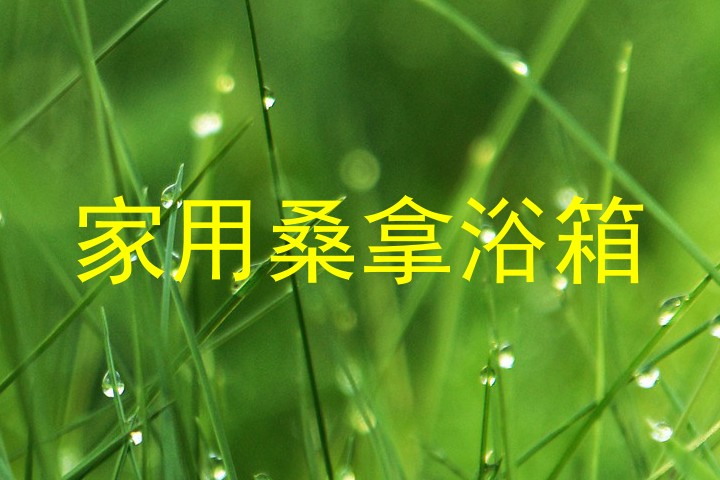 家用桑拿浴箱