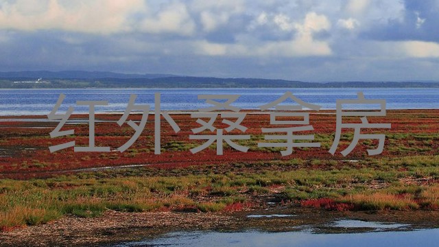 红外桑拿房