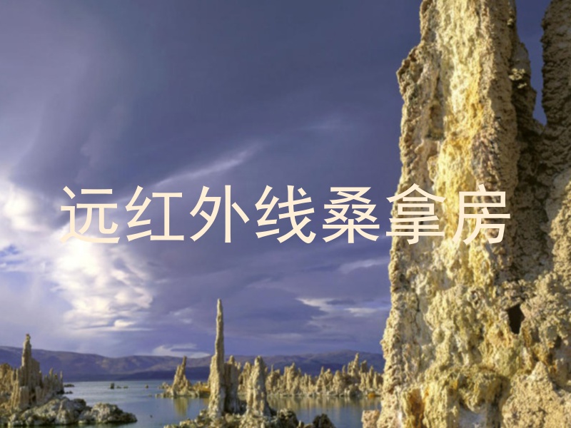 远红外线桑拿房